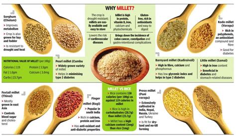 hd porso|Proso Millet: A Nutrient